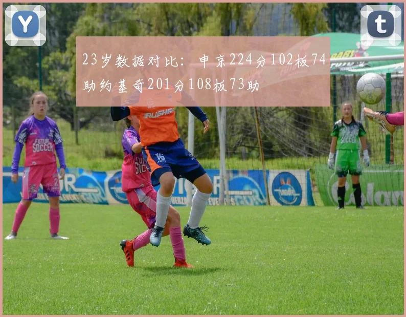 23岁数据对比：申京224分102板74助约基奇201分108板73助